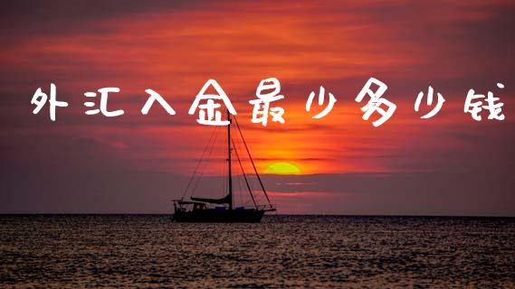 外汇入金最少多少钱_https://wap.lxcailiao.com_财务管理_第1张