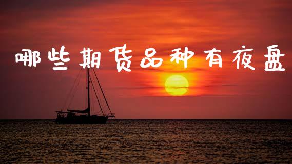哪些期货品种有夜盘_https://wap.lxcailiao.com_融资担保_第1张