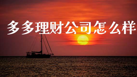 多多理财公司怎么样_https://wap.lxcailiao.com_股权投资_第1张