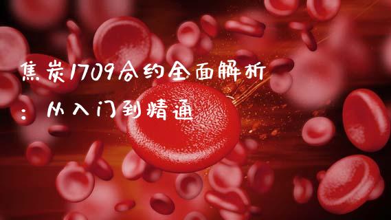 焦炭1709合约全面解析：从入门到精通_https://wap.lxcailiao.com_融资担保_第1张