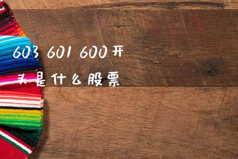 603 601 600开头是什么股票_https://wap.lxcailiao.com_融资担保_第1张