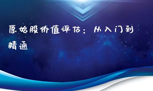 原始股价值评估：从入门到精通_https://wap.lxcailiao.com_财务管理_第1张