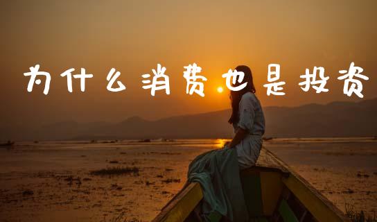 为什么消费也是投资_https://wap.lxcailiao.com_融资担保_第1张