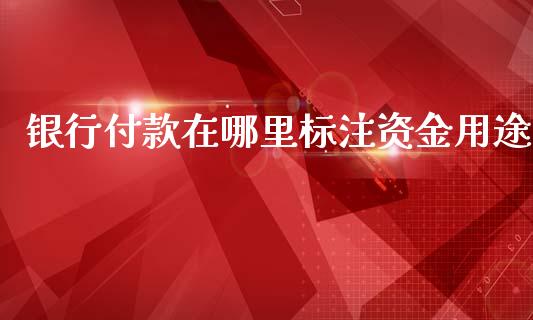 银行付款在哪里标注资金用途_https://wap.lxcailiao.com_金融监管_第1张