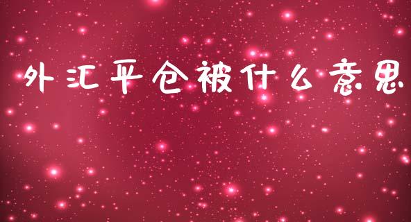外汇平仓被什么意思_https://wap.lxcailiao.com_金融监管_第1张
