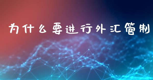 为什么要进行外汇管制_https://wap.lxcailiao.com_财务管理_第1张