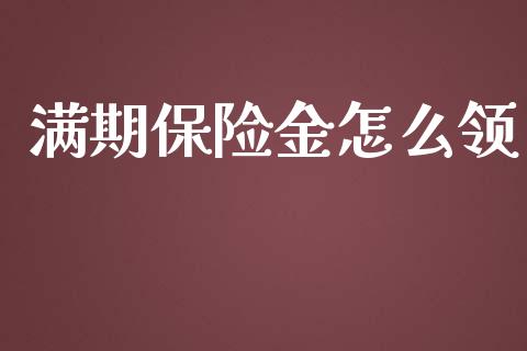 满期保险金怎么领_https://wap.lxcailiao.com_财务管理_第1张