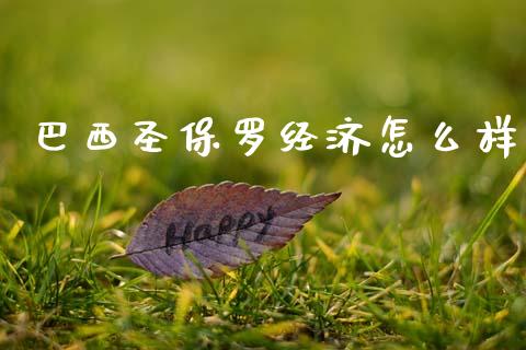 巴西圣保罗经济怎么样_https://wap.lxcailiao.com_融资担保_第1张