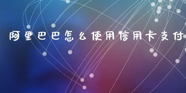阿里巴巴怎么使用信用卡支付_https://wap.lxcailiao.com_财务管理_第1张