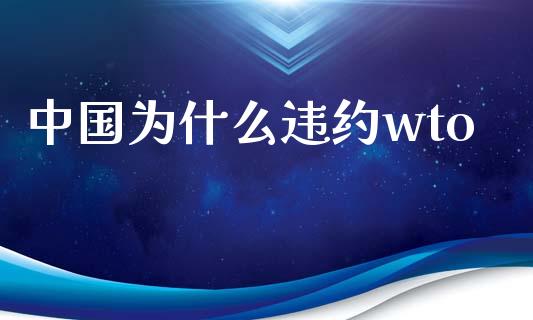 中国为什么违约wto_https://wap.lxcailiao.com_金融监管_第1张