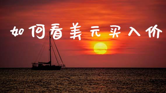 如何看美元买入价_https://wap.lxcailiao.com_股权投资_第1张
