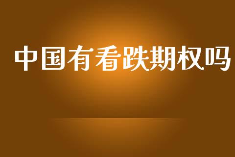 中国有看跌期权吗_https://wap.lxcailiao.com_金融监管_第1张