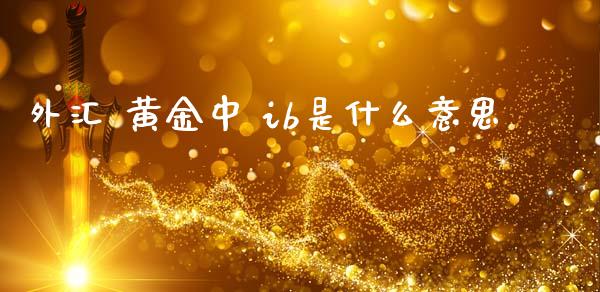 外汇 黄金中 ib是什么意思_https://wap.lxcailiao.com_融资担保_第1张