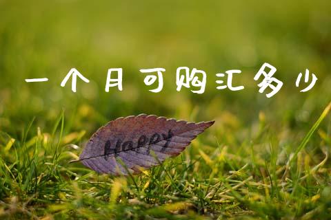 一个月可购汇多少_https://wap.lxcailiao.com_财务管理_第1张