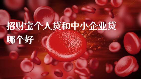 招财宝个人贷和中小企业贷哪个好_https://wap.lxcailiao.com_财务管理_第1张