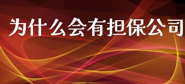 为什么会有担保公司_https://wap.lxcailiao.com_财务管理_第1张