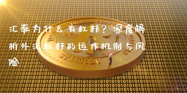 汇率为什么有杠杆？深度解析外汇杠杆的运作机制与风险_https://wap.lxcailiao.com_融资担保_第1张