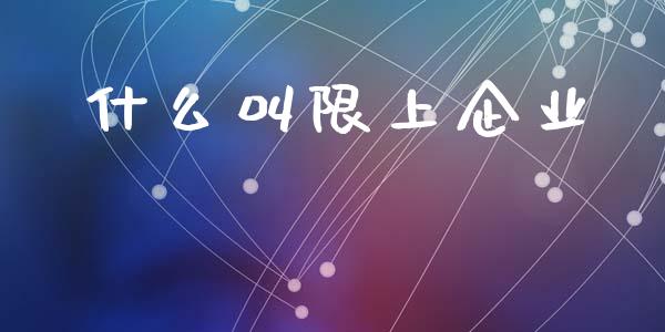什么叫限上企业_https://wap.lxcailiao.com_财务管理_第1张