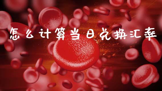 怎么计算当日兑换汇率_https://wap.lxcailiao.com_财务管理_第1张