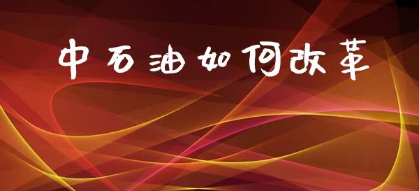 中石油如何改革_https://wap.lxcailiao.com_财务管理_第1张