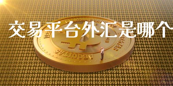 交易平台外汇是哪个_https://wap.lxcailiao.com_金融监管_第1张