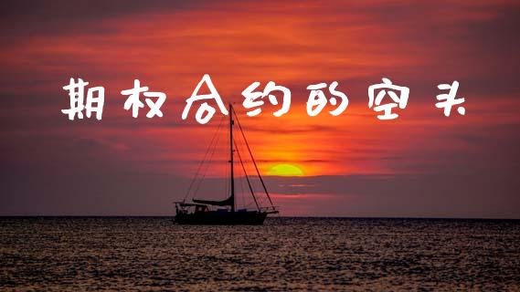 期权合约的空头_https://wap.lxcailiao.com_融资担保_第1张