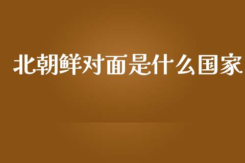北朝鲜对面是什么国家_https://wap.lxcailiao.com_股权投资_第1张
