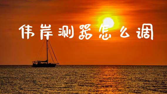 伟岸测器怎么调_https://wap.lxcailiao.com_股权投资_第1张