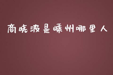 商晓波是嵊州哪里人_https://wap.lxcailiao.com_金融监管_第1张