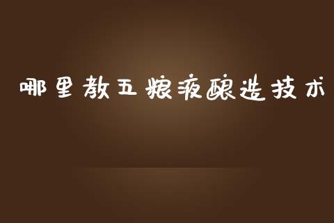 哪里教五粮液酿造技术_https://wap.lxcailiao.com_融资担保_第1张