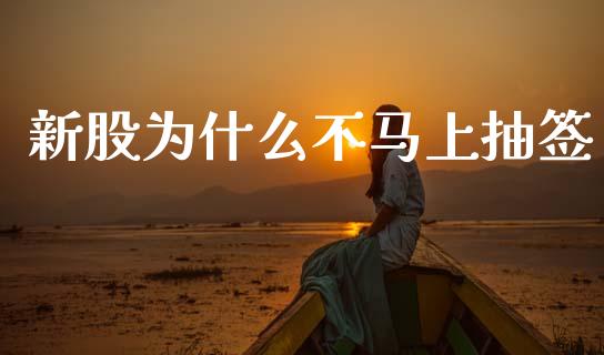 新股为什么不马上抽签_https://wap.lxcailiao.com_融资担保_第1张