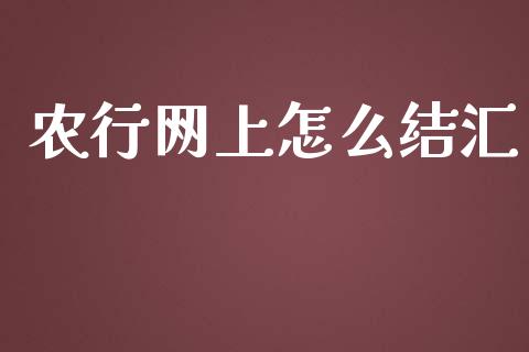 农行网上怎么结汇_https://wap.lxcailiao.com_融资担保_第1张
