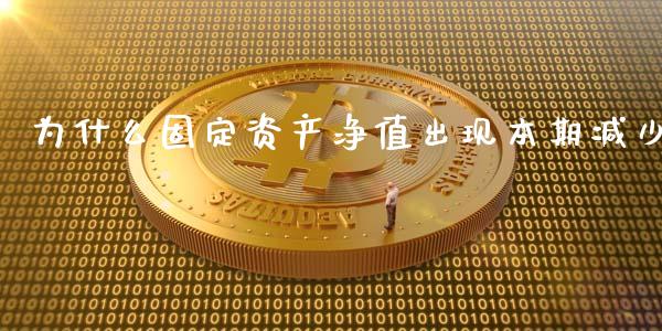 为什么固定资产净值出现本期减少_https://wap.lxcailiao.com_金融监管_第1张