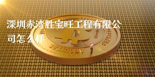 深圳赤湾胜宝旺工程有限公司怎么样_https://wap.lxcailiao.com_融资担保_第1张