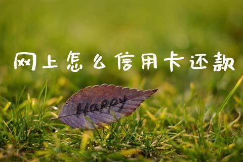 网上怎么信用卡还款_https://wap.lxcailiao.com_金融监管_第1张