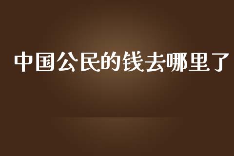 中国公民的钱去哪里了_https://wap.lxcailiao.com_股权投资_第1张