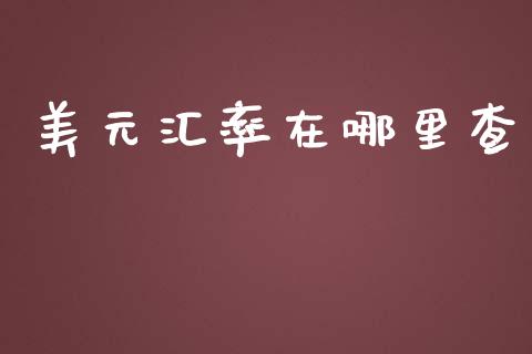 美元汇率在哪里查_https://wap.lxcailiao.com_财务管理_第1张