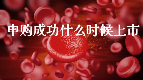申购成功什么时候上市_https://wap.lxcailiao.com_股权投资_第1张