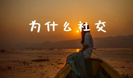 为什么社交_https://wap.lxcailiao.com_金融监管_第1张