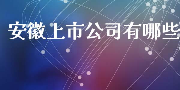 安徽上市公司有哪些_https://wap.lxcailiao.com_金融监管_第1张