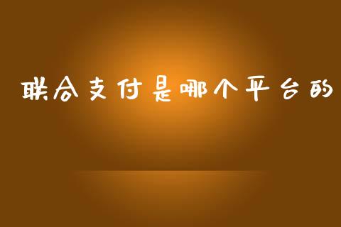 联合支付是哪个平台的_https://wap.lxcailiao.com_财务管理_第1张