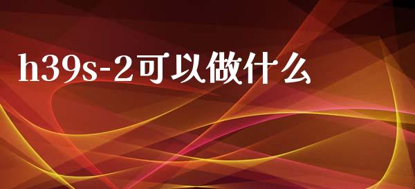 h39s-2可以做什么_https://wap.lxcailiao.com_金融监管_第1张