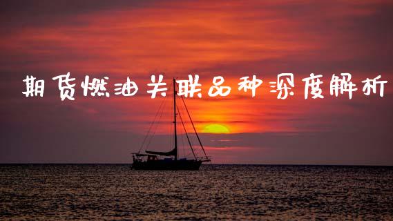 期货燃油关联品种深度解析_https://wap.lxcailiao.com_融资担保_第1张