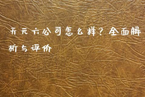 天元六公司怎么样？全面解析与评价_https://wap.lxcailiao.com_融资担保_第1张
