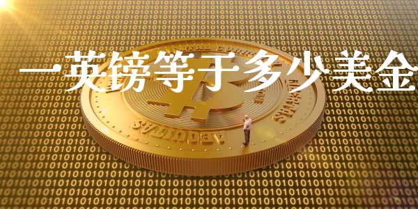 一英镑等于多少美金_https://wap.lxcailiao.com_金融监管_第1张
