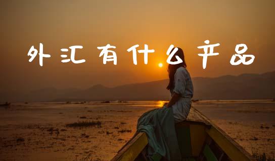 外汇有什么产品_https://wap.lxcailiao.com_金融监管_第1张