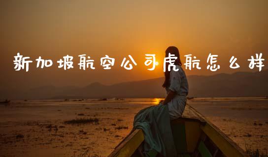 新加坡航空公司虎航怎么样_https://wap.lxcailiao.com_财务管理_第1张