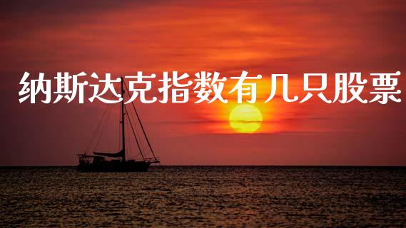 纳斯达克指数有几只股票_https://wap.lxcailiao.com_股权投资_第1张