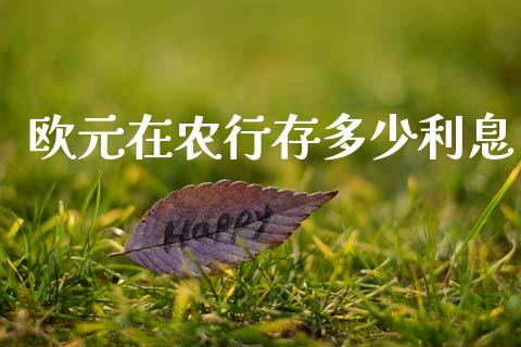 欧元在农行存多少利息_https://wap.lxcailiao.com_融资担保_第1张