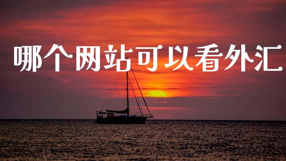 哪个网站可以看外汇_https://wap.lxcailiao.com_金融监管_第1张